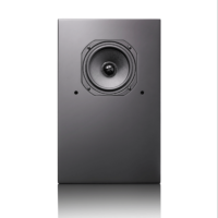 Ascendo Immersive Audio CCM5-P Passive Speakers