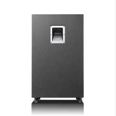 Ascendo Immersive Audio SMS12-P Passive Subwoofer - Image 2