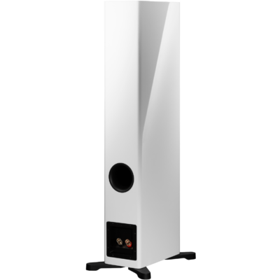 Dynaudio Evoke 30 - Image 9