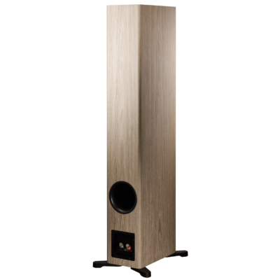 Dynaudio Evoke 50 - Image 8