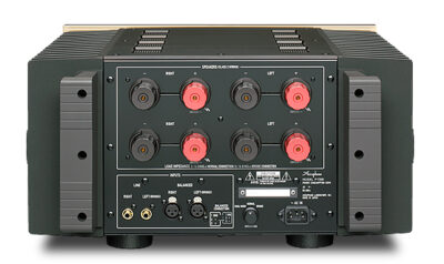 Accuphase P-7300 Stereo Power Amplifier - Image 2